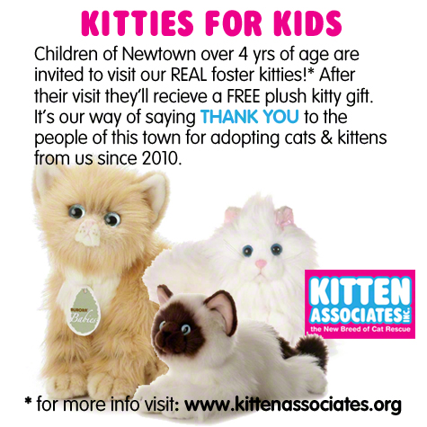 Kittens for the Kids copy.jpg